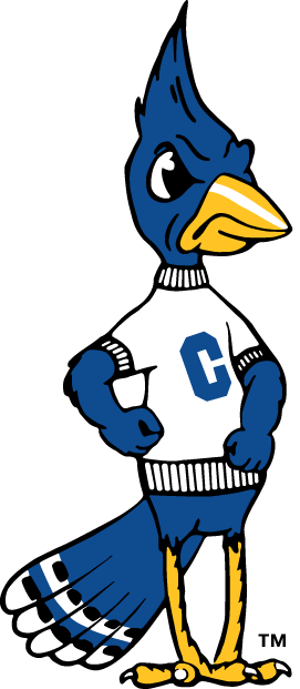 Creighton Bluejays 1999-2012 Alternate Logo v2 diy iron on heat transfer